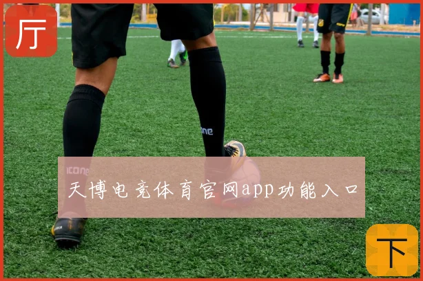 天博电竞体育官网app功能入口