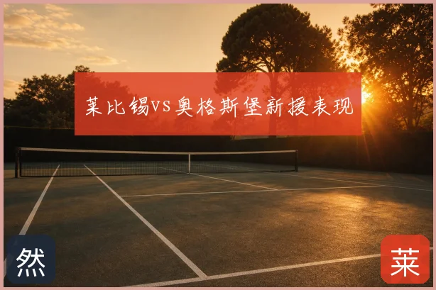莱比锡vs奥格斯堡新援表现